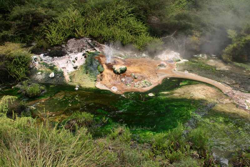 Nieuw-Zeeland 2011 - 0708